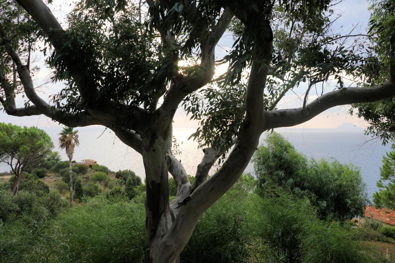 Case Di Berto Capo Vaticano Luaran gambar