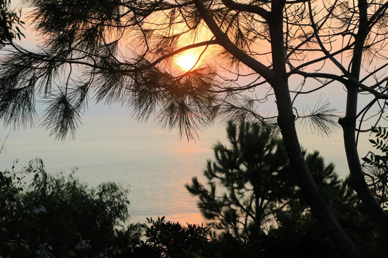 Case Di Berto Capo Vaticano Luaran gambar