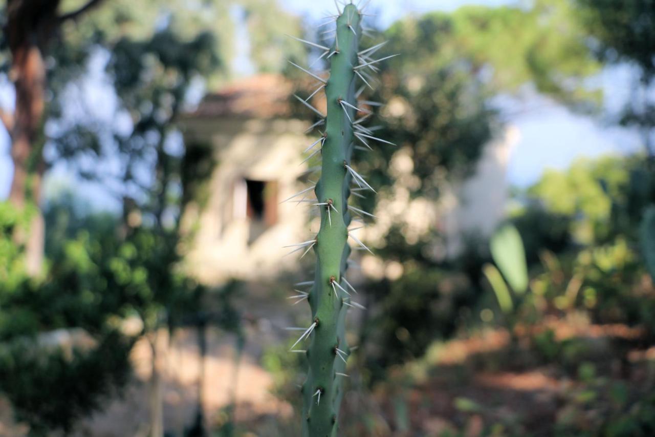 Case Di Berto Capo Vaticano Luaran gambar